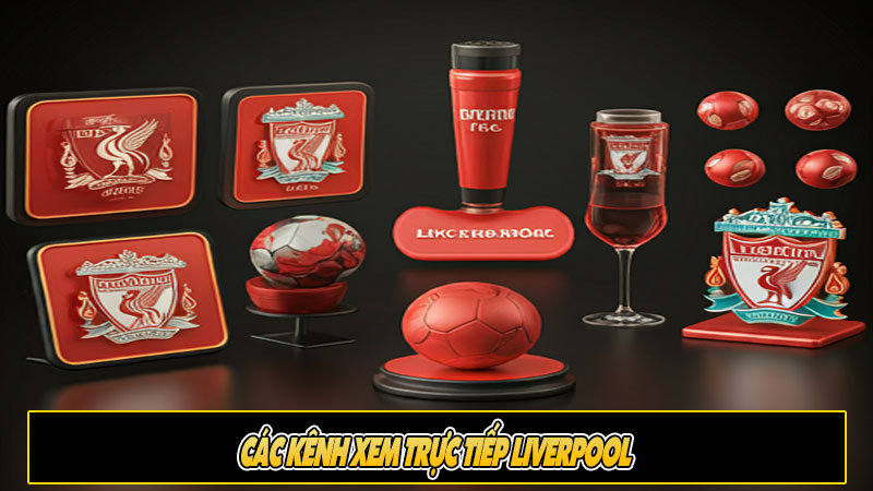 Các kênh xem trực tiếp Liverpool